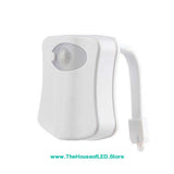 FREE Smart LED Toilet Nightlight