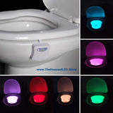 FREE Smart LED Toilet Nightlight